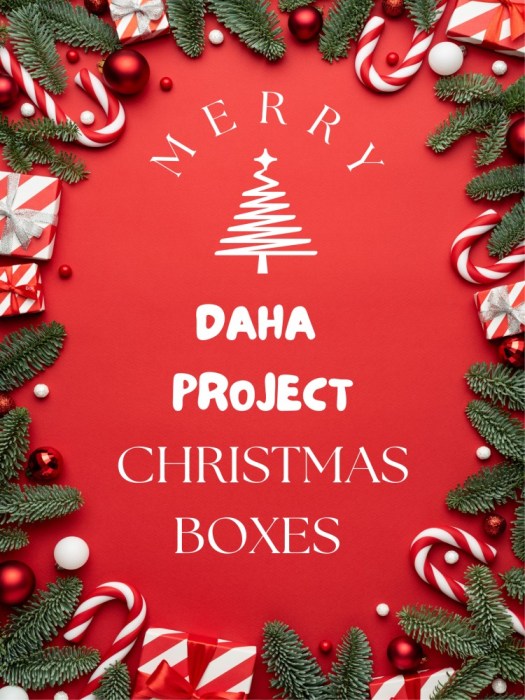 Box Christmas boxes4